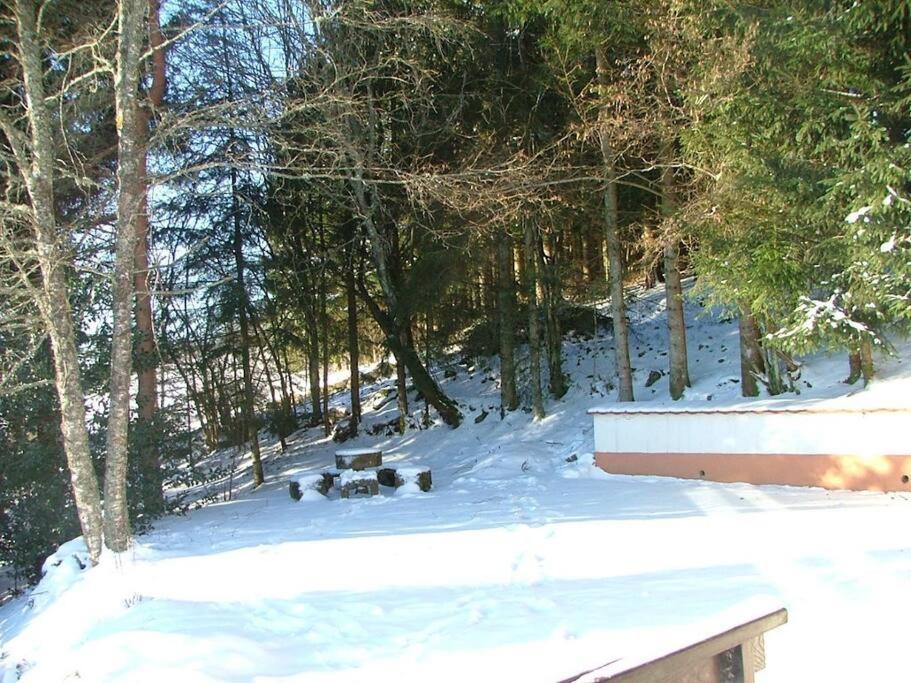 Maison D'Altitude Avec Vue Panoramique A Gérardmer Dış mekan fotoğraf