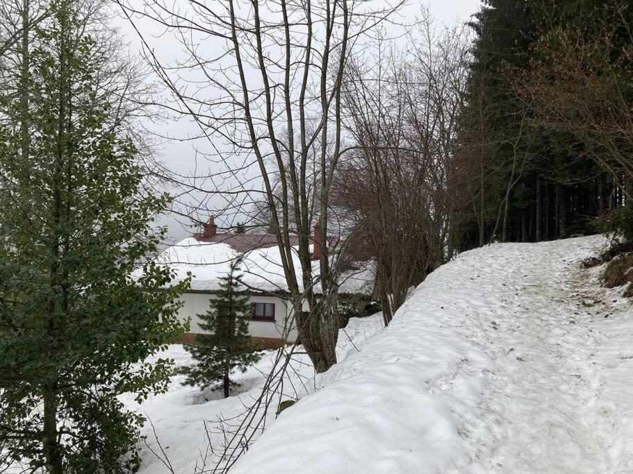 Maison D'Altitude Avec Vue Panoramique A Gérardmer Dış mekan fotoğraf