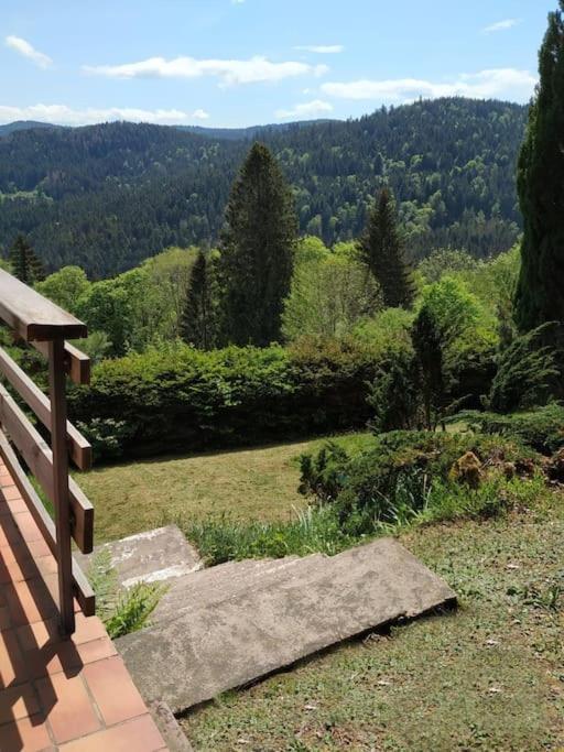 Maison D'Altitude Avec Vue Panoramique A Gérardmer Dış mekan fotoğraf