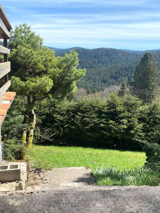 Maison D'Altitude Avec Vue Panoramique A Gérardmer Dış mekan fotoğraf